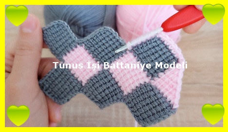 Tunus İşi Battaniye Modeli