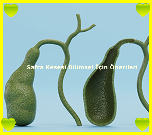 Safra Kesesi Bilimsel İçin Önerileri